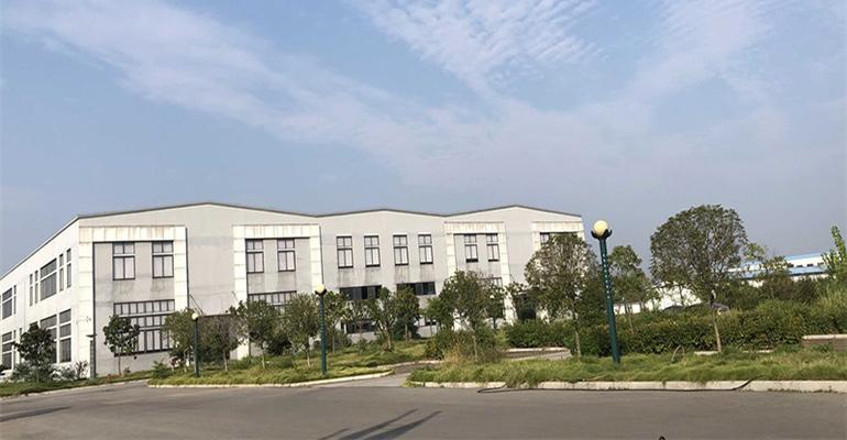 Professional Focus On Quality Assurance